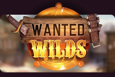 24406 wanted wilds